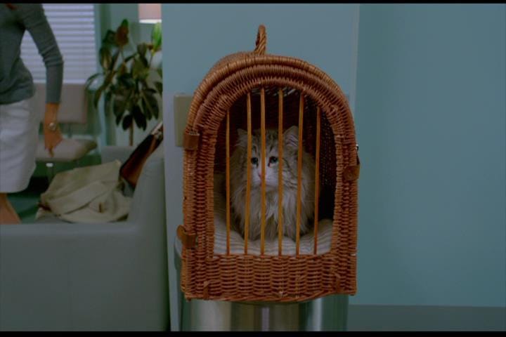 Nine Lives