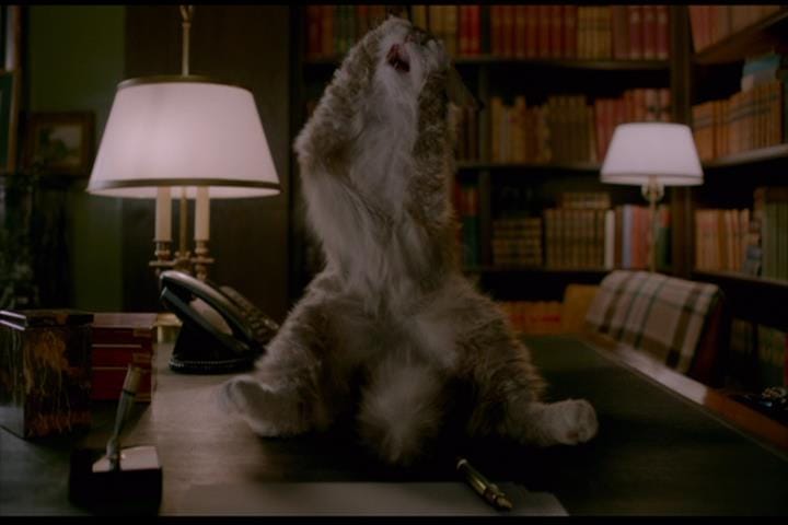 Nine Lives Nine Lives