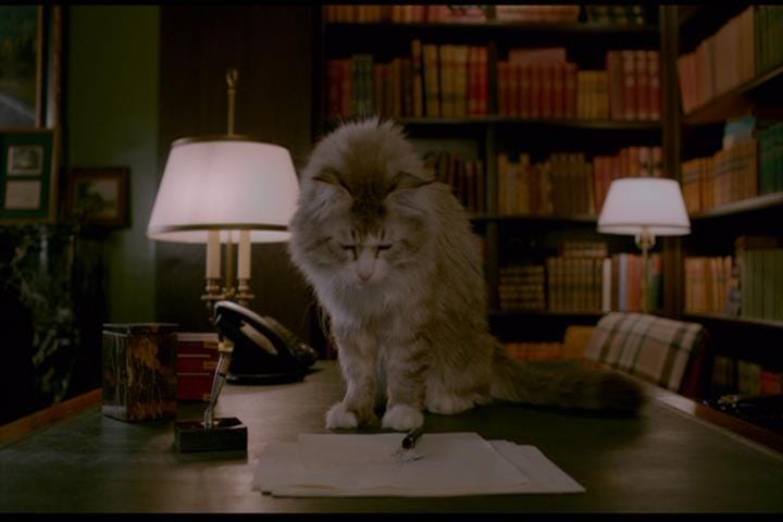 Nine Lives Nine Lives