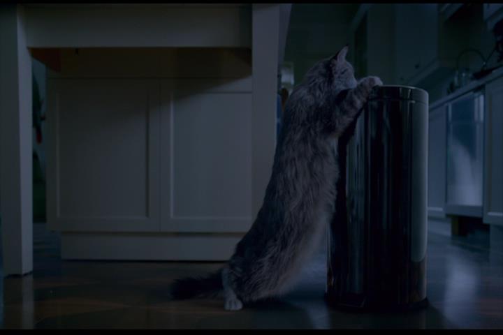 Nine Lives Nine Lives