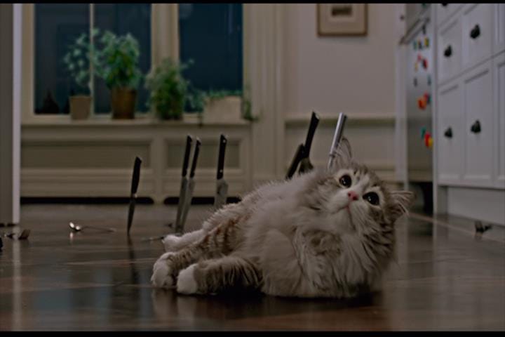 Nine Lives Nine Lives