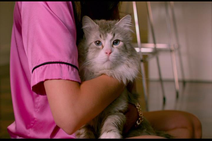 Nine Lives Nine Lives