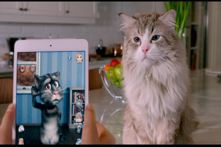 Nine Lives Nine Lives