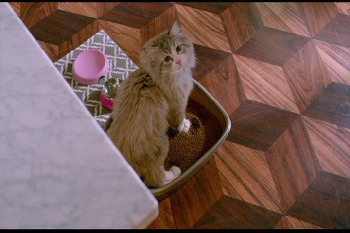 Nine Lives Nine Lives