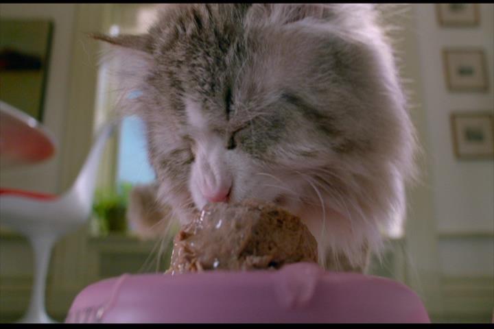 Nine Lives Nine Lives