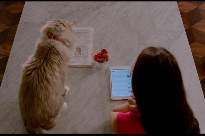 Nine Lives Nine Lives