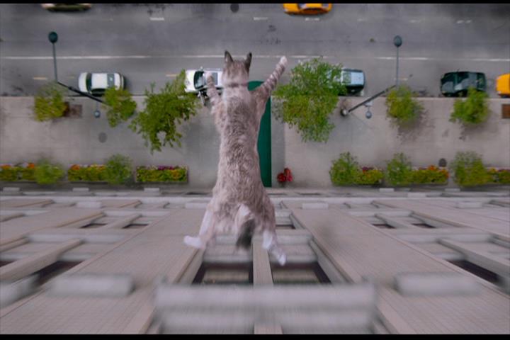 Nine Lives Nine Lives