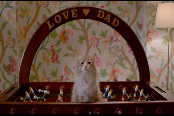 Nine Lives Nine Lives