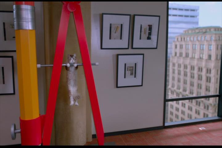 Nine Lives Nine Lives