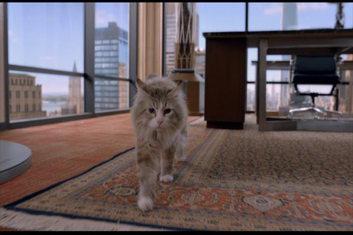 Nine Lives Nine Lives