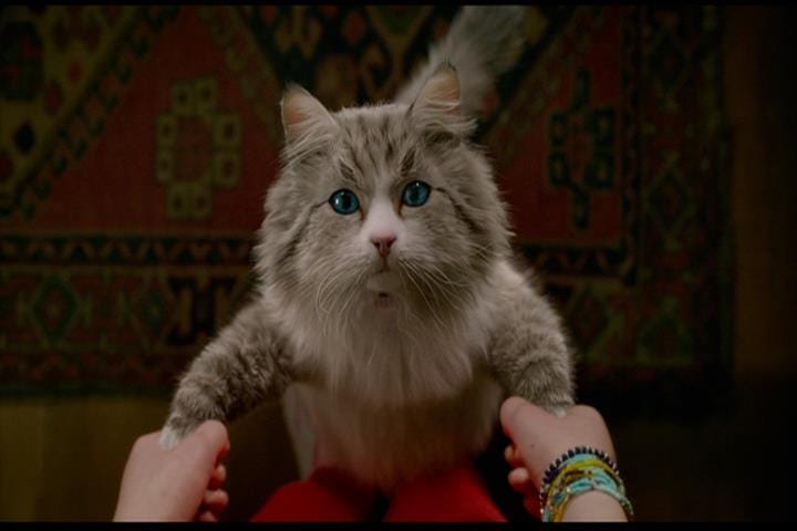 Nine Lives