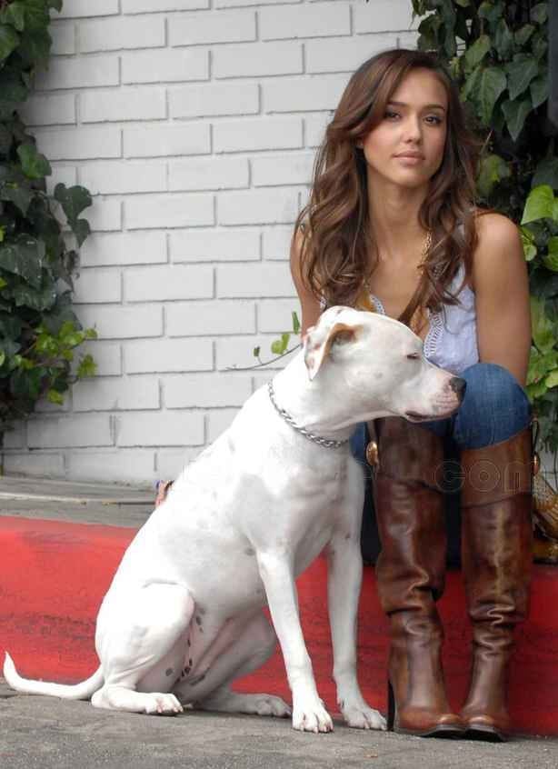 Jessica Alba Jessica Alba