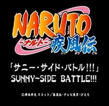 Naruto Shippuuden: Sunny Side Battle!! 2014.
