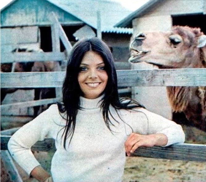 Patty Shepard