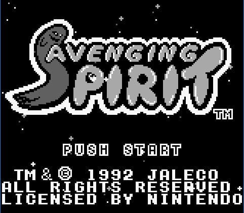 Avenging Spirit