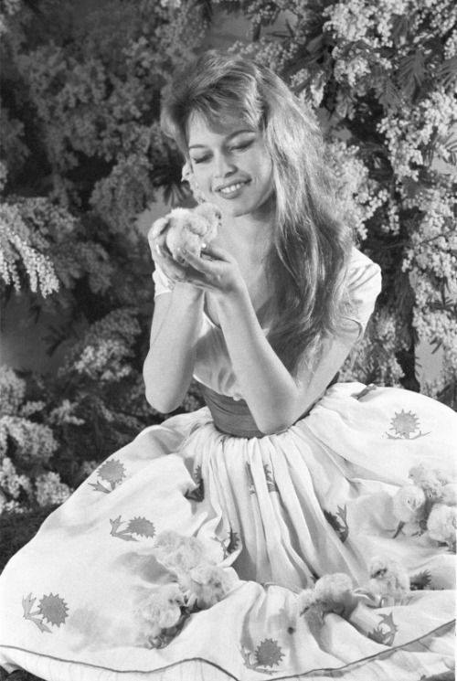 Brigitte Bardot