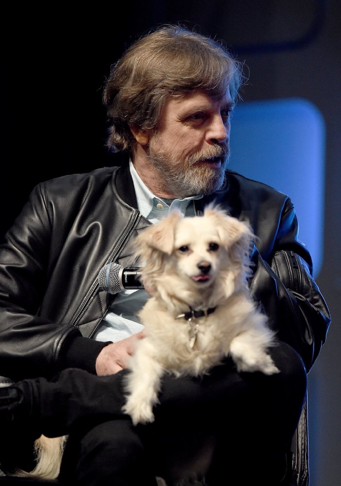 Mark Hamill