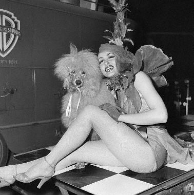 Julie Newmar