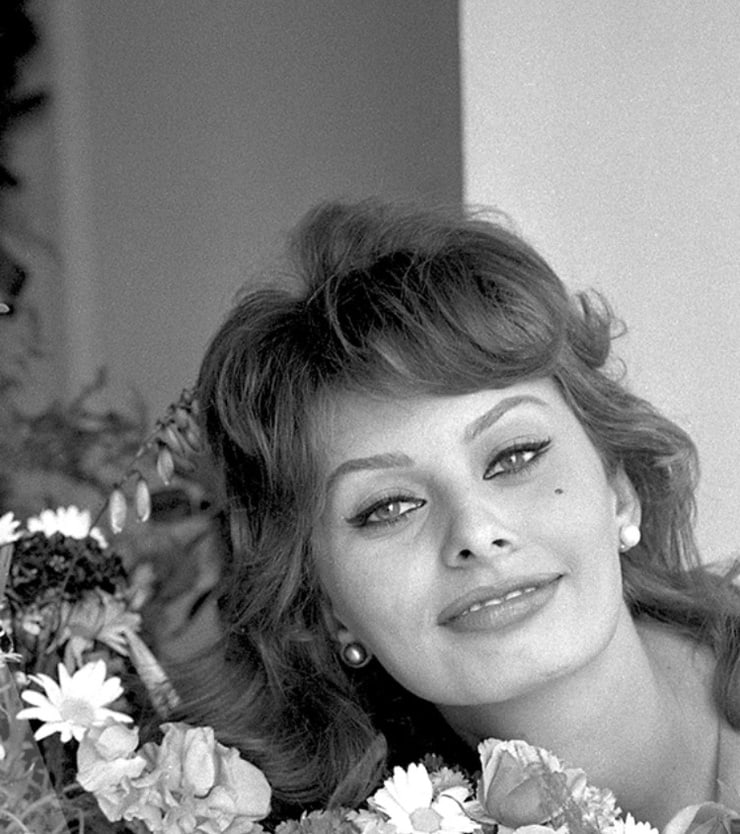 Sophia Loren