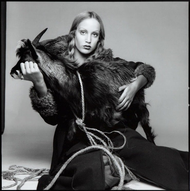 Jerry Hall image