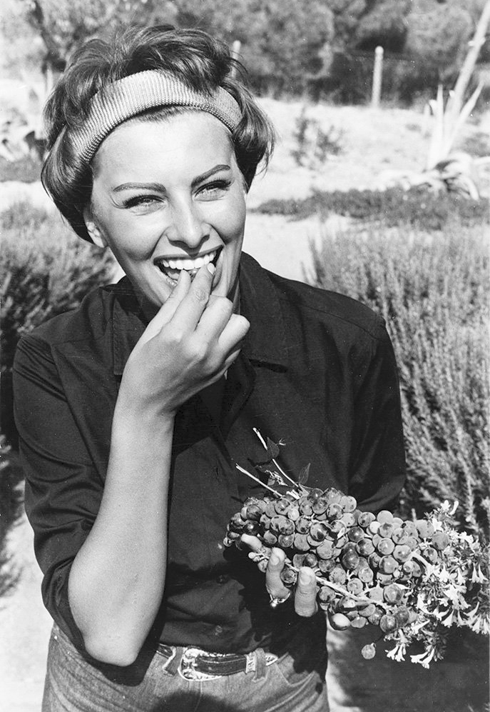 Sophia Loren