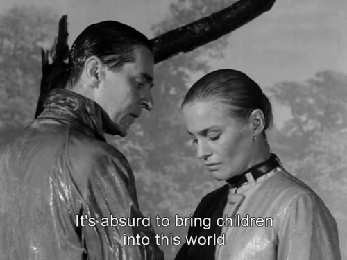 Wild Strawberries Wild Strawberries