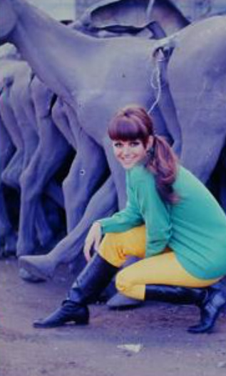 Claudia Cardinale Claudia Cardinale