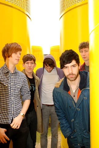 Foals