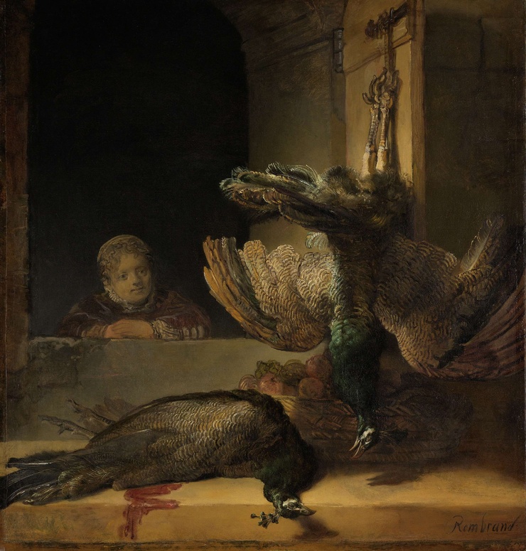 Rembrandt Sabelis