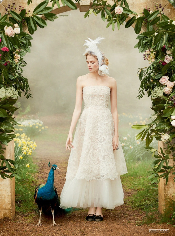 Gabriella Wilde Gabriella Wilde