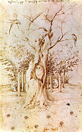 Picture of Hieronymus Bosch