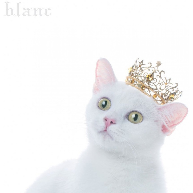 Best Selection `Blanc`