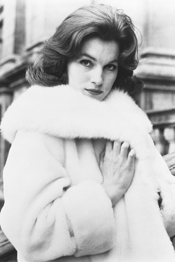 Shirley Anne Field