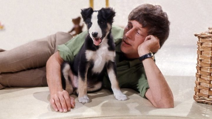 John Noakes