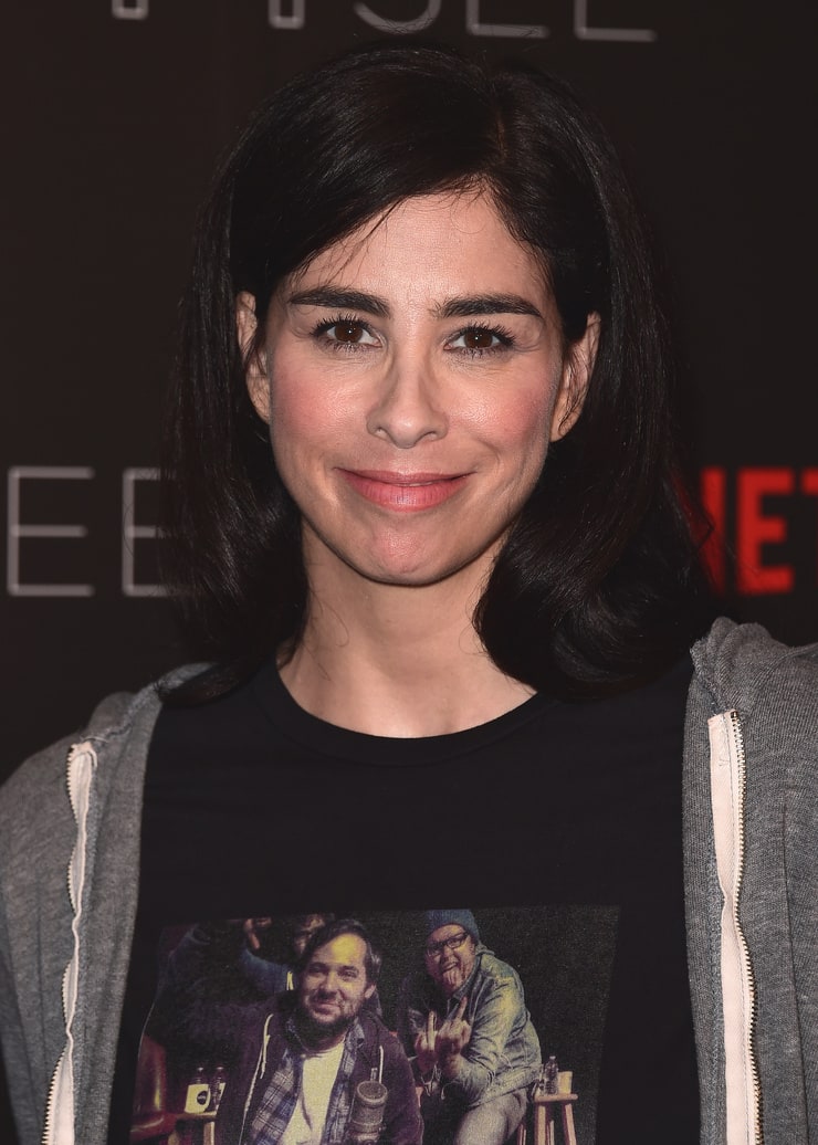 Picture Of Sarah Silverman 