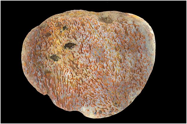 Mineral