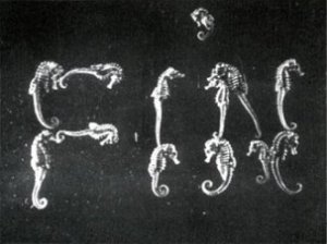 The Seahorse (1934)