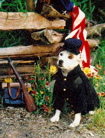 Wishbone