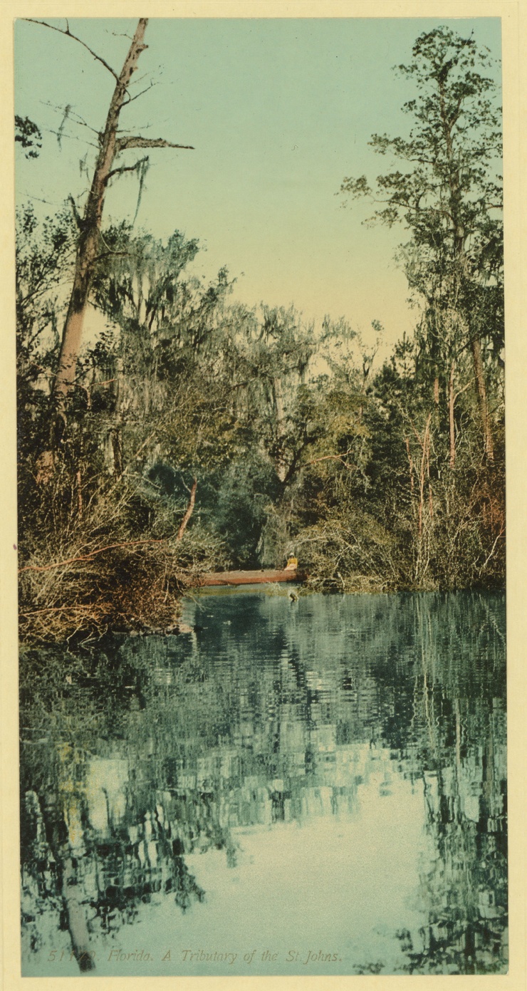 Florida