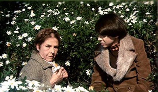 Harold and Maude