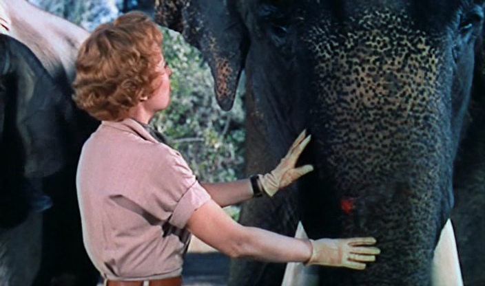 Escape to Burma