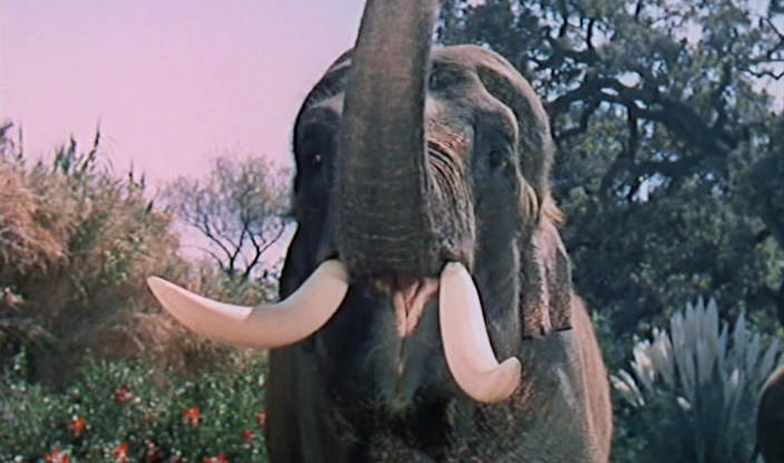 Escape to Burma