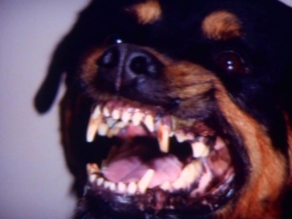 Kolchak: The Night Stalker