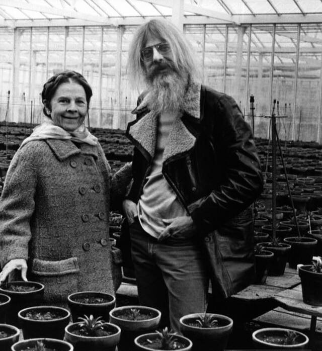 Harold and Maude