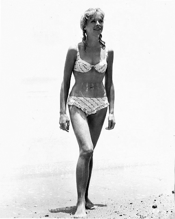 Susannah York Susannah York