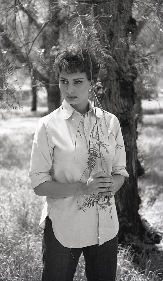 Sophia Loren