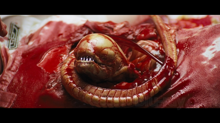 Alien Anthology   [6 Disc Set]