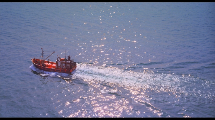 IMAX - Wild Ocean 3D 