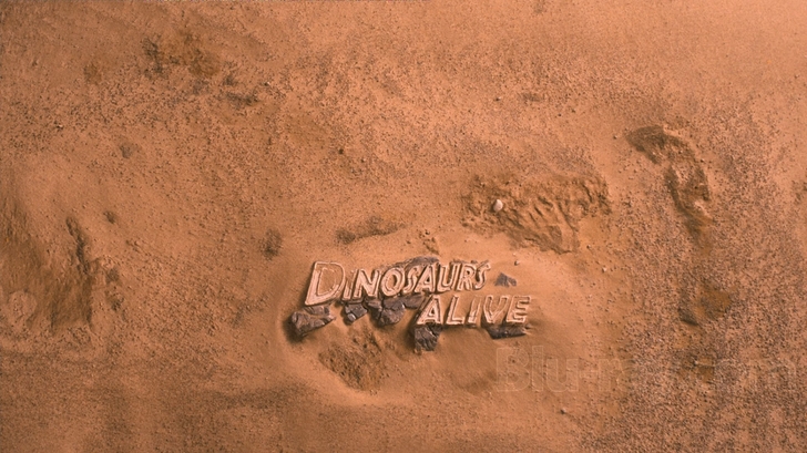 Imax: Dinosaurs Alive   [US Import]