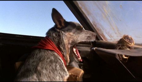 The Road Warrior
